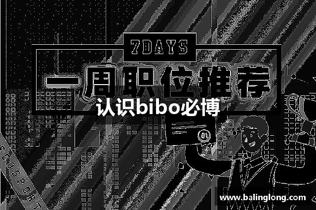 认识bibo必博